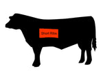 Frozen Beef Short Ribs (Australia / New Zealand)