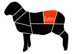 Frozen Lamb T-Bone Chop (Australia / New Zealand)